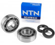 KIT Roulements NTN + Joints Ludix