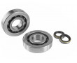 Kit Roulement Vilo + Joint Spi Cyclo Motob&eacute;cane MBK 51 - SKF ACIER 16x42x13 TVH 6302QR