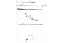 GUIDON