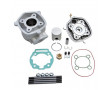 Haut Moteur M&eacute;caboite Malossi MHR Sport Derbi Senda 2006-> GPR 2006-> Gilera SMT 2006-> RCR 2006-> (Moteur Piaggio Euro 3) (Alu 