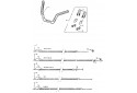 GUIDON
