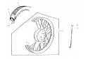 ROUE