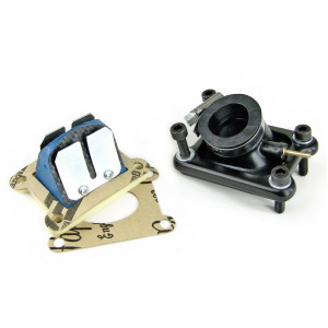 Kit Admission Moto 50cc Derbi &Oslash; 15 a 21mm MVT S-Race 50cc (Clapet+Pipe)