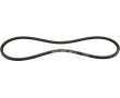 Courroie Cyclo Piaggio Ciao PX sans Variateur 102905/10 - Origine OEM