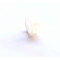Bague Plastique 16mm / 19mm Carburateur Dellorto SHA 14 15 16 (16x19x10.8)