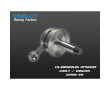 Vilebrequin Bidalot RF50WR Derbi Euro 3 / G2 Hybride (C39.7 E85)