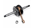 Vilebrequin MBK 51 Magnum Club Passion XR - AV10 / 512 &eacute;lectronique Masse Pleine