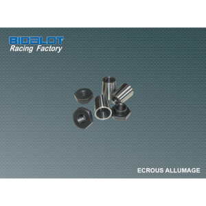 &Eacute;crou Volant Allumage PVL Minarelli AM6 / Booster Nitro SR50 MachG
