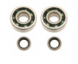 Kit Roulement Vilo + Joint Spi Cyclo Motob&eacute;cane MBK 41 51 88 - 16x42x13 C3 polyamide 6302QR