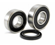 Kit Roulement Vilebrequin + Joint Spi Moteur Solex 3800 (6202+6203) - SKF