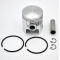 Piston Cyclo Polini 204.0090 Peugeot