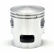 Piston Cyclo Polini 204.0090 Peugeot
