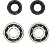 ROULEMENT D'EMBIELLAGE + JOINT 50 A BOITE ADAPTABLE Derbi 50 SENDA, GPR-GILERA 50 SMT, RCR (MOTEUR EURO 2 + EURO 3) (KIT 6204 TP
