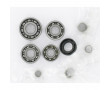 Kit Roulement + Cage Boite de Vitesse complet Minarelli AM6