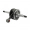 Vilebrequin Adaptable Peugeot Fox