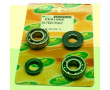 Roulement de Vilo + Joint Spi Top Perf Booster Stunt Nitro SR50 (SKF)