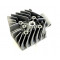 Culasse Polini MBK AV10 Air Radiale 211.0202 Ø 46