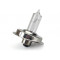 Ampoule 12V 15W P26S Phare Cyclo MBK 51 Peugeot 103 Halogene a Colerette Transparent