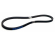 Courroie Cyclo Motob&eacute;cane Motoconfort AV32 &agrave; AV82 785x13x8 Lisse (Poulie 214mm)