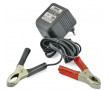 Chargeur de Batterie 12V 0.5A