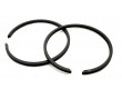 Segment