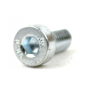 Vis Tete Plate CHC M6x12 -Variateur Bidalot G1-G2 / Couronne FE (Acier Zingu&eacute; Unit&eacute;)