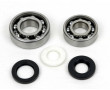 Kit Roulement Vilebrequin + Joint Spi Renforc&eacute; Polini Peugeot 103 - SKF C3 6204+6203 Acier