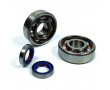 Kit Roulements Vilebrequin Polini C3 SKF MBK 51 + Joints Spi T&eacute;flon Mobylette AV10 Motob&eacute;cane AV7