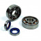 Kit Roulements Vilebrequin Polini C3 SKF MBK 51 + Joints Spi T&eacute;flon Mobylette AV10 Motob&eacute;cane AV7