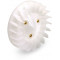 Turbine Ovetto / MachG / Nitro AC / GY6 / Blanche