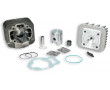 Haut Moteur Malossi Piaggio Zip Typhoon Liberty 2T Gilera Stalker ICE Aprilia SR50 AIR (Fonte)