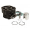 Cylindre M&eacute;caboite Derbi Senda 2006-> GPR 2006-> Gilera SMT 2006-> RCR 2006-> (Moteur Piaggio Euro 3) - Fonte Premium-