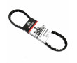 Courroie Comp&eacute;tition Peugeot 103 Grande Plage 15mm / G1-G2 Gates Gforce Renforc&eacute;e (878x14.3)