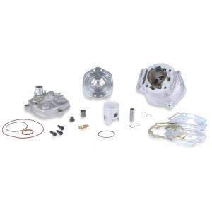 Haut Moteur Malossi MHR Team &Oslash; 39.88 Derbi GPR-Senda Euro 3