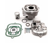 Haut Moteur Malossi GR2 Replica MBK 51 Liquide Magnum Passion (G2 alu Nikasil)