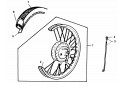 ROUE