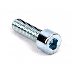 Boulon de fourche Paioli MBK 51 Magnum Racing XR / 51CF - M8X25 (Vidange)