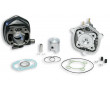 Haut Moteur Malossi MBK Nitro MachG Liquide / Yamaha Aerox Jog-R H2O / SR50 F12 F15 &Oslash; 40 (Fonte)