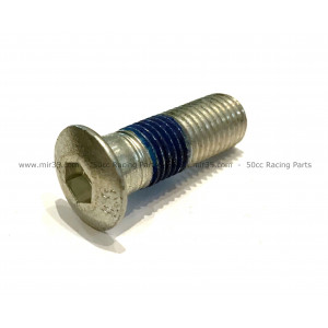 Vis de Fixation Disque de Frein MBK Booster / Magnum XR Boulon 10x30