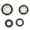 Kit Roulement Vilebrequin + Joint Spi Renforcé Peugeot 103 (FAG 6204+6203 Polyamide)