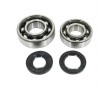 Kit Roulement Vilebrequin + Joint Spi Renforc&eacute; Peugeot 103 (FAG ou TPI 6204+6203 Polyamide)