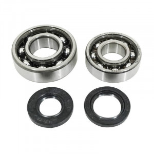 Kit Roulement Vilebrequin + Joint Spi Renforc&eacute; Peugeot 103 - TPI C4 6204+6203 Polyamide