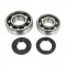 Kit Roulement Vilebrequin + Joint Spi Renforc&eacute; Peugeot 103 (FAG ou TPI 6204+6203 Polyamide)