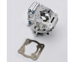 Carter Moteur Hybride Comp&eacute;tition CBE - Montage Cylindre Derbi / FL- MBK Peugeot Bidalot RS