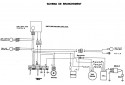 SCHEMA