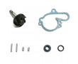 Kit M&eacute;canisme Pompe a Eau Top Perf Minarelli AM6 origine