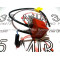 Bobine Allumage PVL Digitale 500104 G1 / G2 / Scooter Minarelli / Derbi / Minarelli AM6