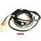Allumage PVL Cyclo G1/G2/G3 Digital Racing RS Bidalot MCR Conti Mistral (Bobine Rouge)
