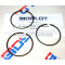 Segment Bidalot Racing Acier Chromé Ø 40 (40x1mm)