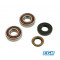 Galet Tendeur de Chaine Pour Moto D42mm Axe Ø8 (Galet Axe Bras)